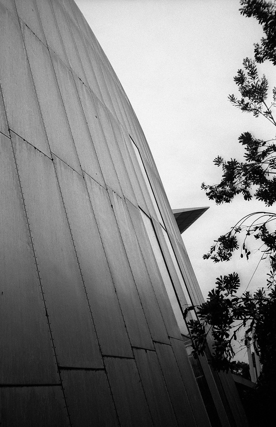 Melbourne Museum, Leica AF-C1, Kodak Tri-X 400 400TX