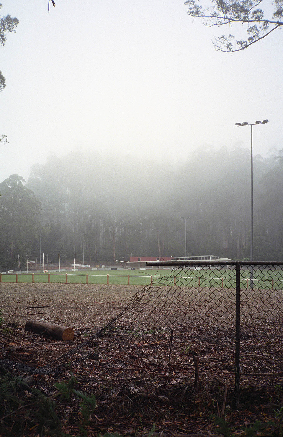 Olinda, Leica AF-C1, Kodak Portra 400