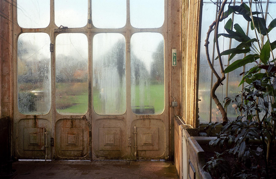 Kew Gardens, 2018, Leica M4, Summicron-M 35mm, Kodak Ektar 100