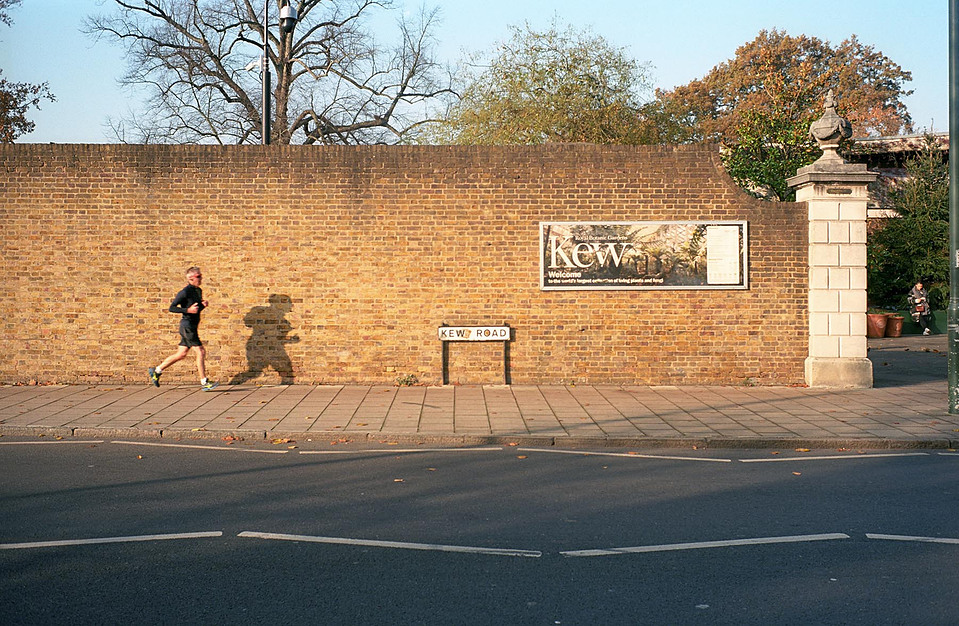 Kew Gardens, 2018, Leica M4, Summicron-M 35mm, Kodak Ektar 100