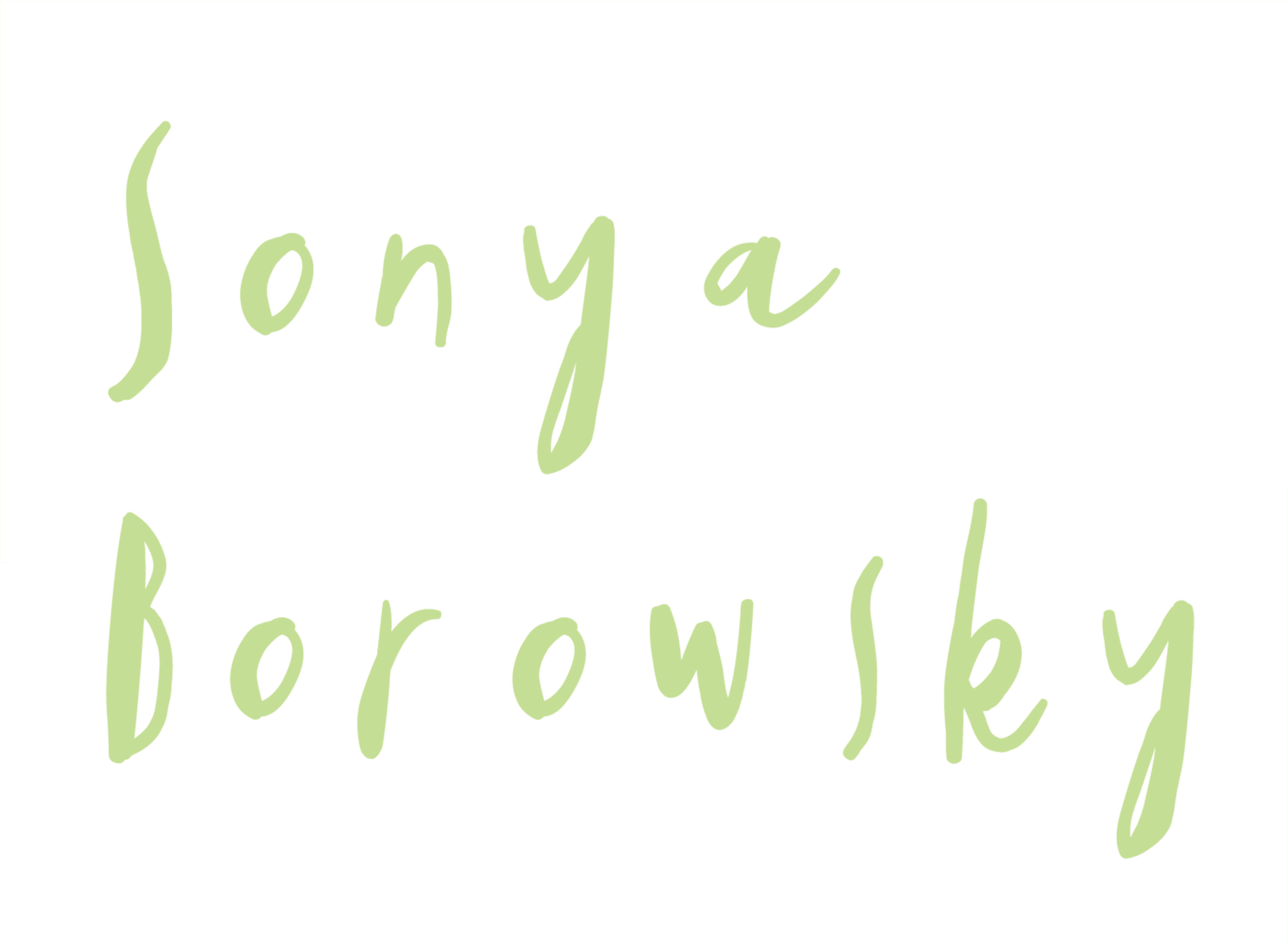 Sonya Borowsky's Portfolio