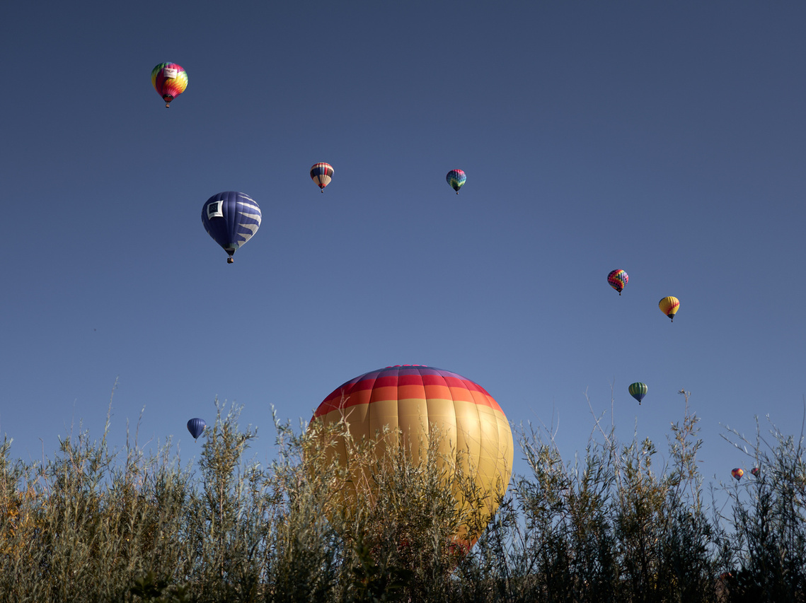Balloons at the Reno Balloon Race in Reno, NV. Reno, NV photographer