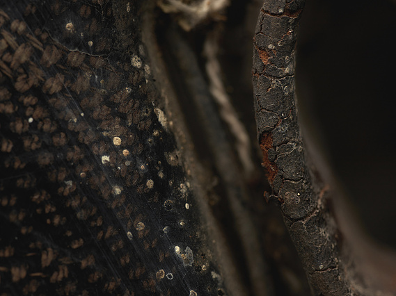 Old coal miner helmet, Reno, NV photographer