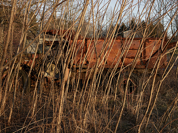 Old dump-truck, Reno, NV photographer