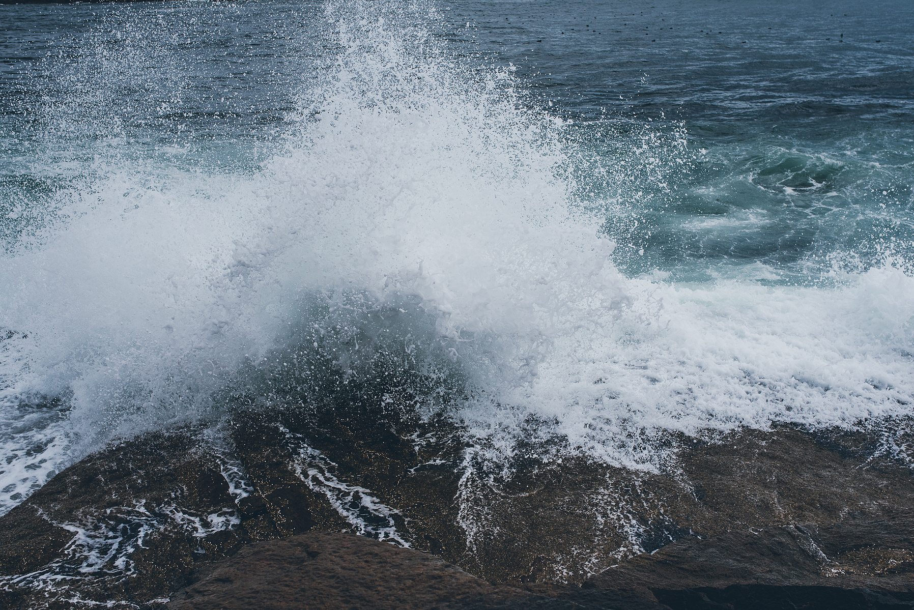 A wave crashes along the rocky Maine coast in Acadia National Park taken by Boston landscape photographer Korri Leigh Crowley