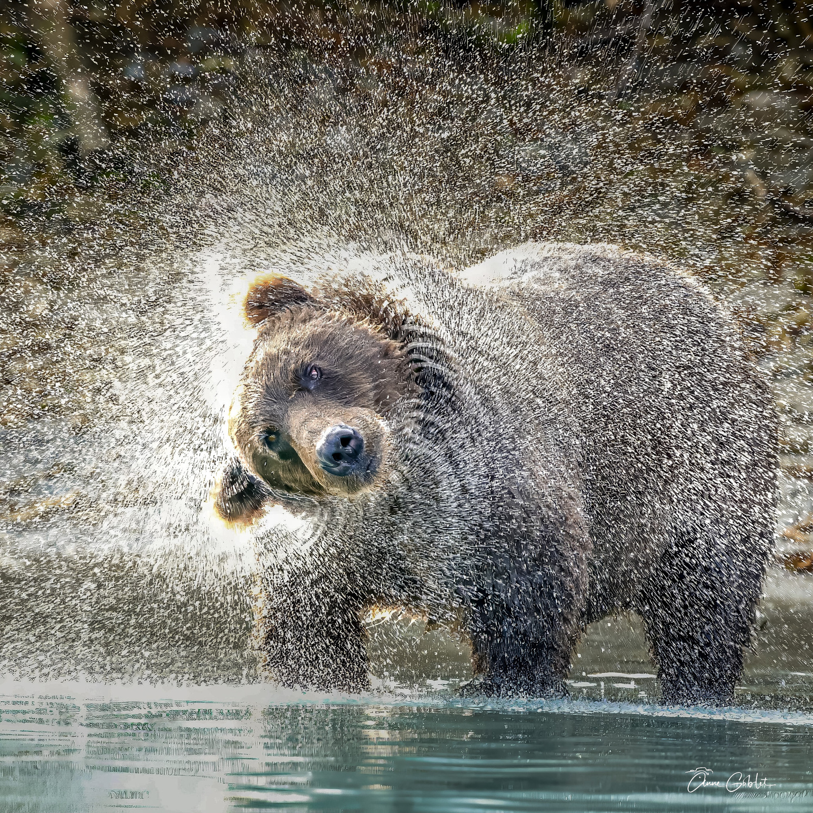 Lake clark sept 23