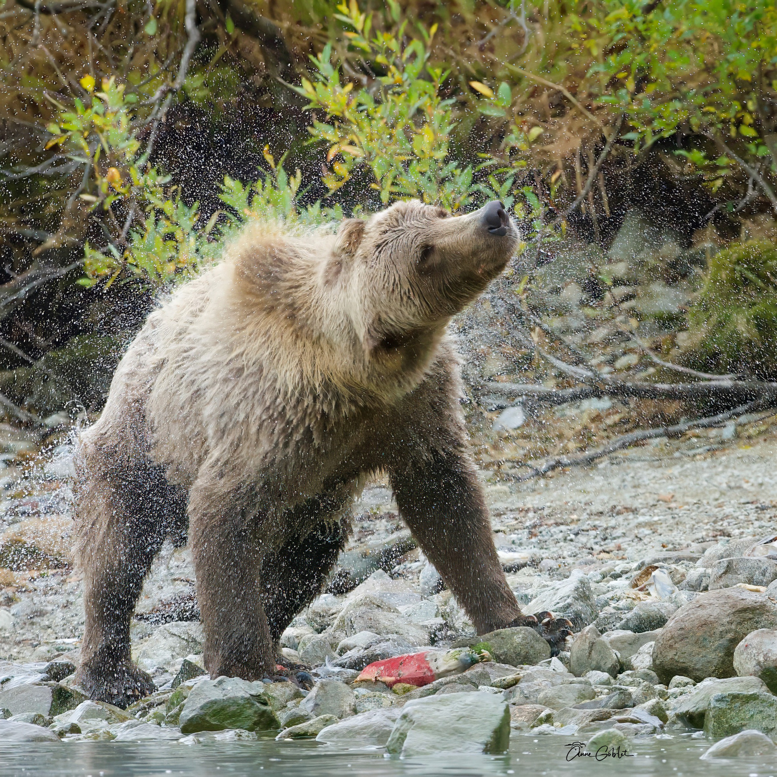 Lake clark sept 23