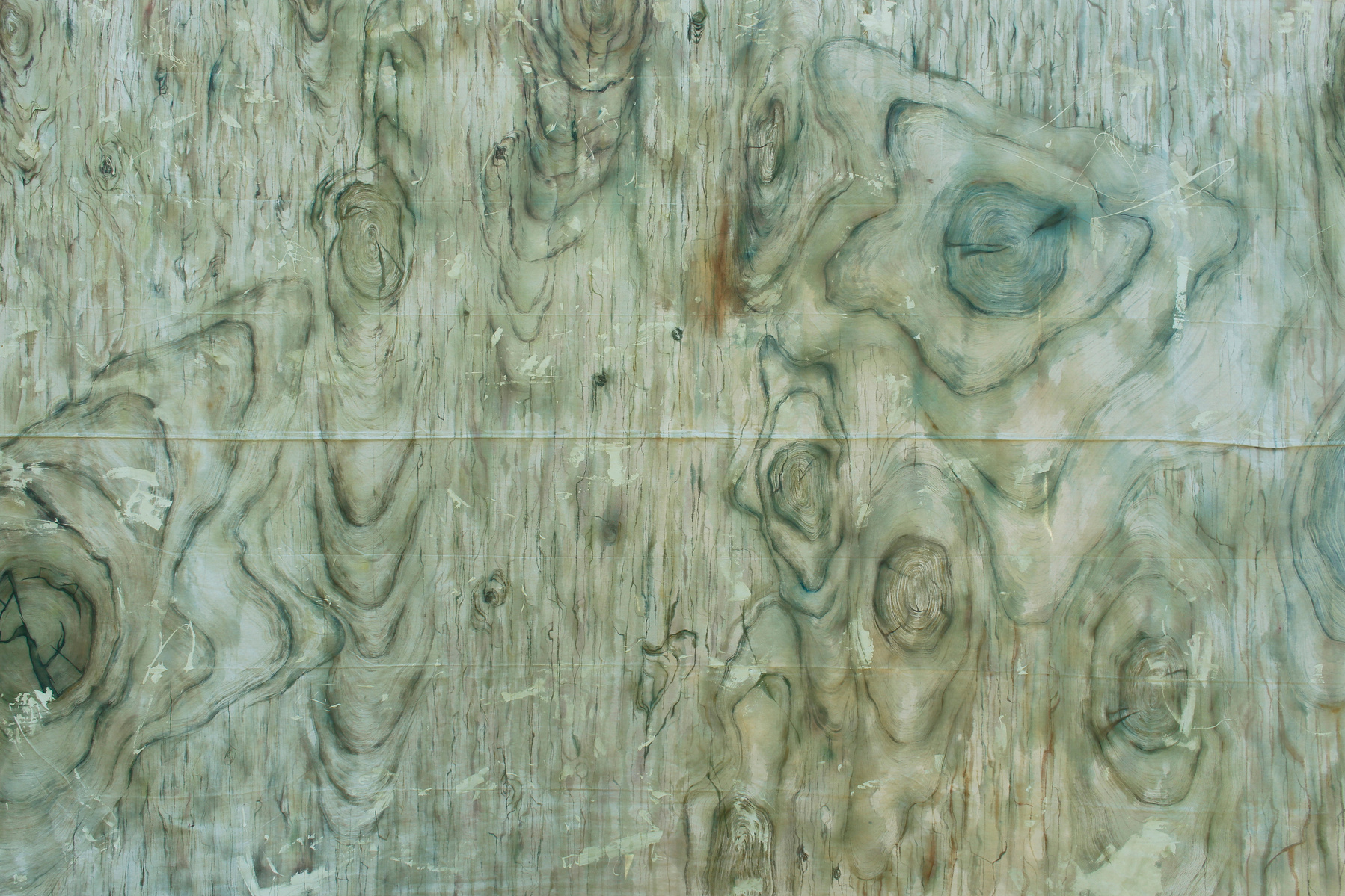 A large painting on drop cloth made of watercolour marks, the marking resembling tree rings and knots.