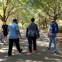Three young men walk down a tree-lined path. 