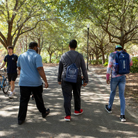Three young men walk down a tree-lined path. 