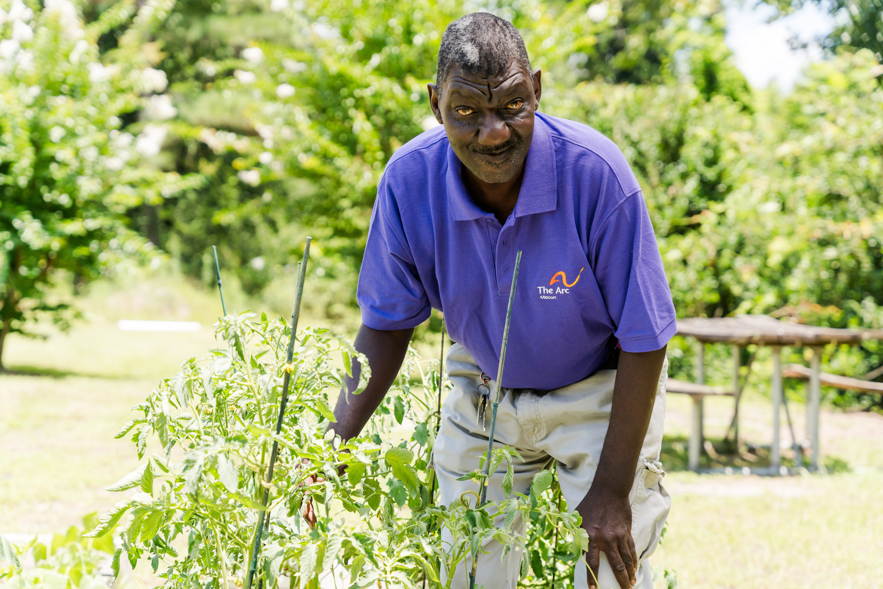 A man wears a purple polo shirt and works in a garden. 