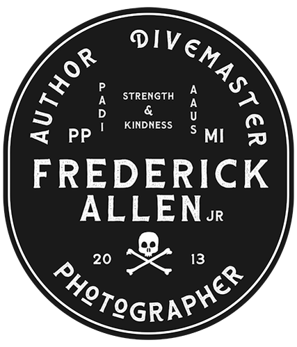 Rick Allen's Portfolio
