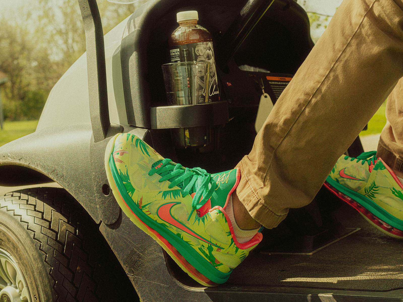 Alex Desimone for 'Lebronald Palmer' Nike Lebron 9 Low - Steven Connor