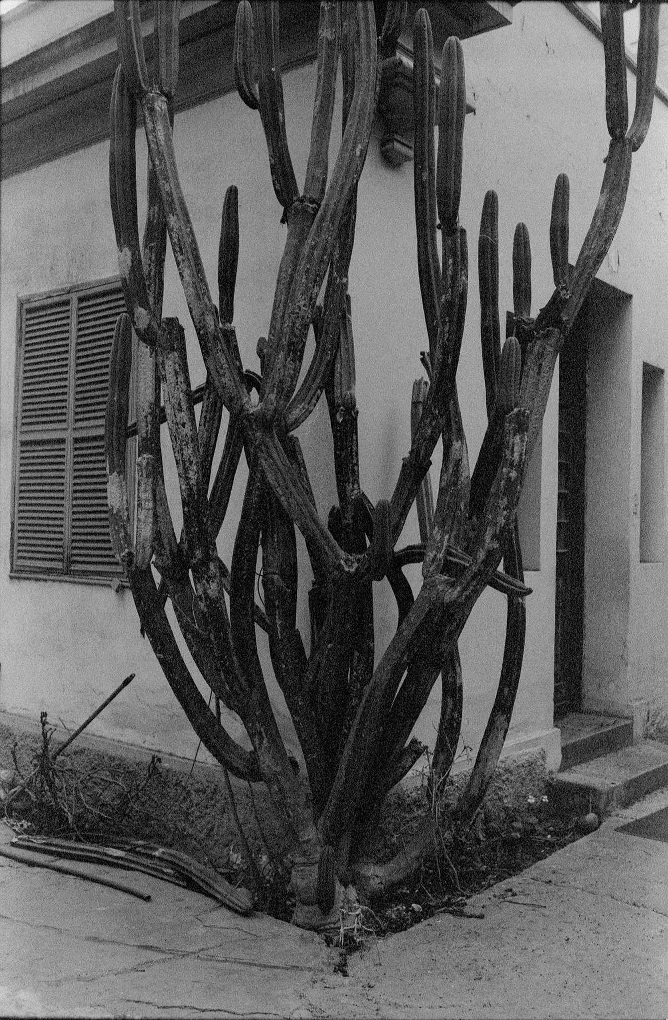 fotografia analogica
neopan 1600
35mm
film photography
nikon fm10
Juan Pablo Aragón
Lima Perú