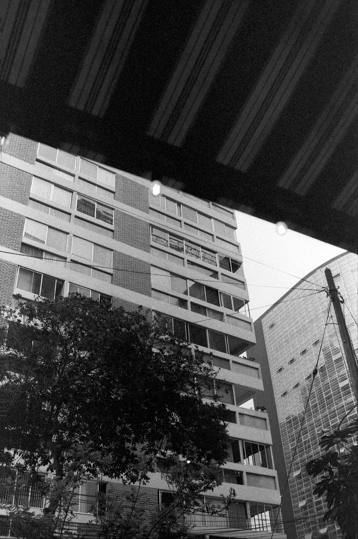 fotografia analogica
neopan 1600
35mm
film photography
nikon fm10
Juan Pablo Aragón
Lima Perú
