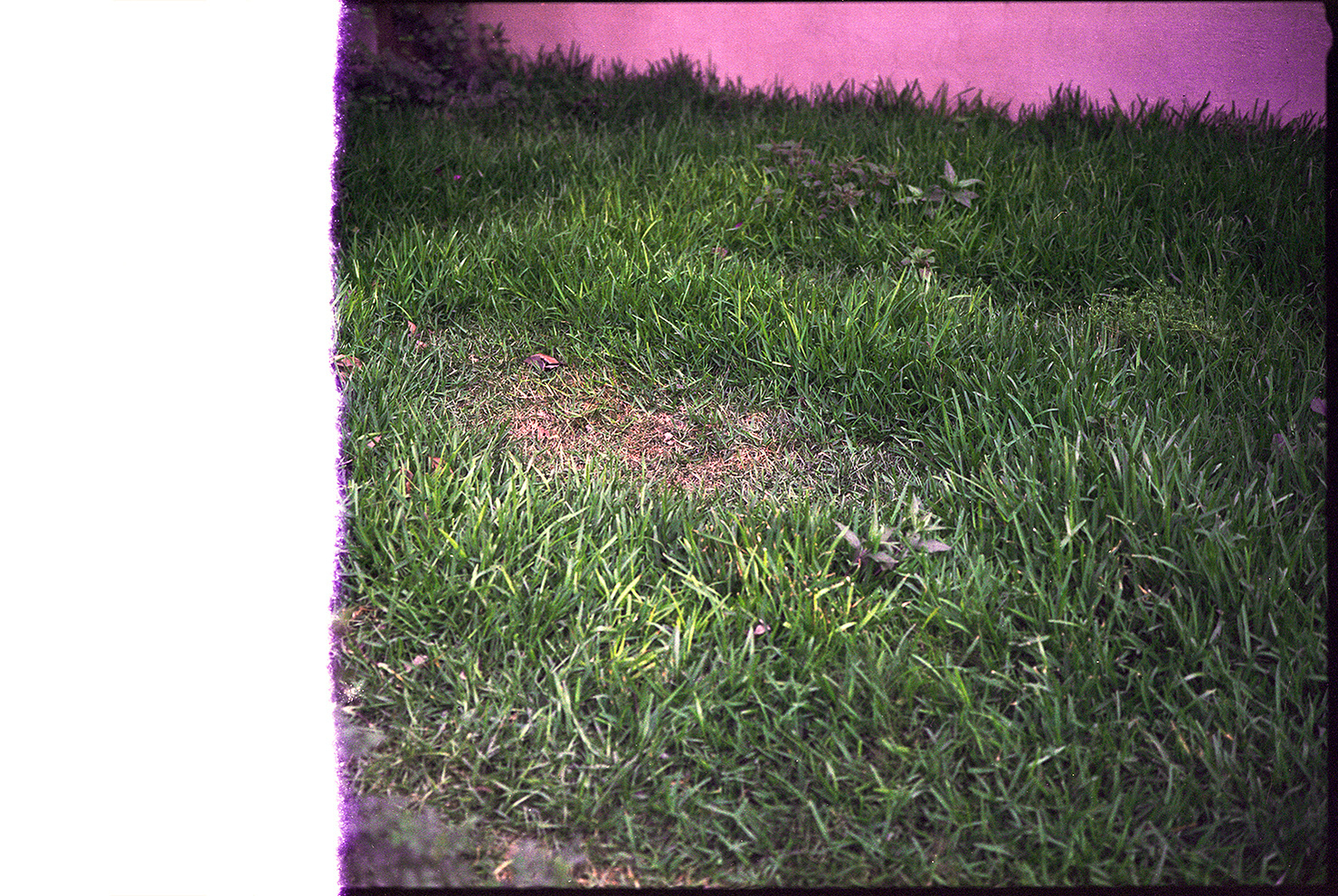 fotografia analogica
120mm
fuji gw690iii
film photography
Juan Pablo Aragón
Lima Perú