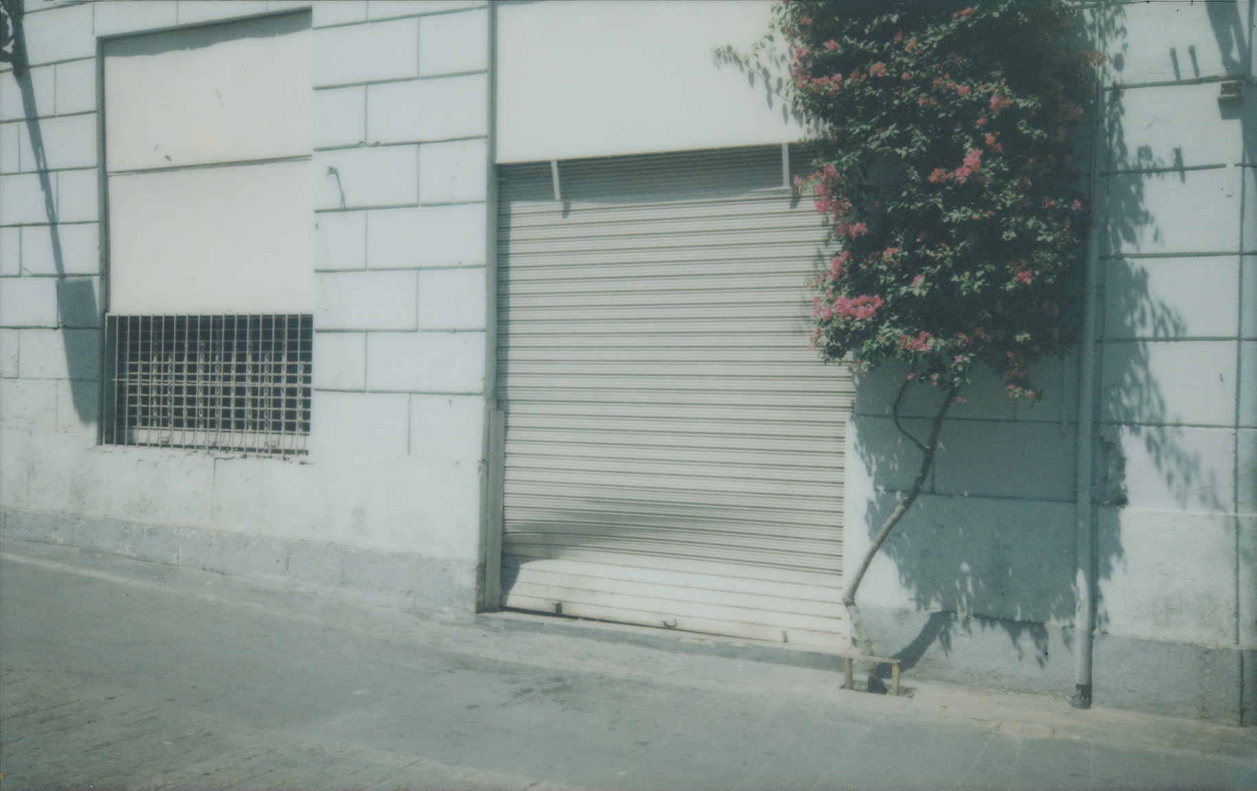 fotografia analogica
fuji instax wide
instant film
film photography
Juan Pablo Aragón
Lima Perú
