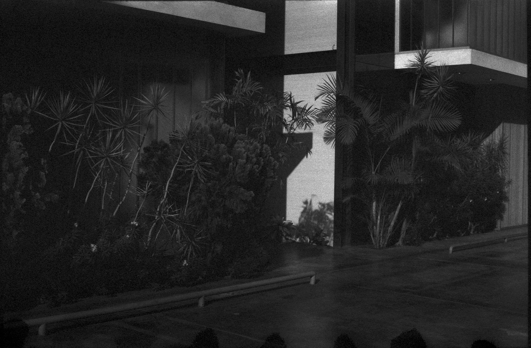 fotografia analogica
35mm
canon eos elan IIe
ilford delta 400
expired film
film photography
Juan Pablo Aragón
Lima Perú