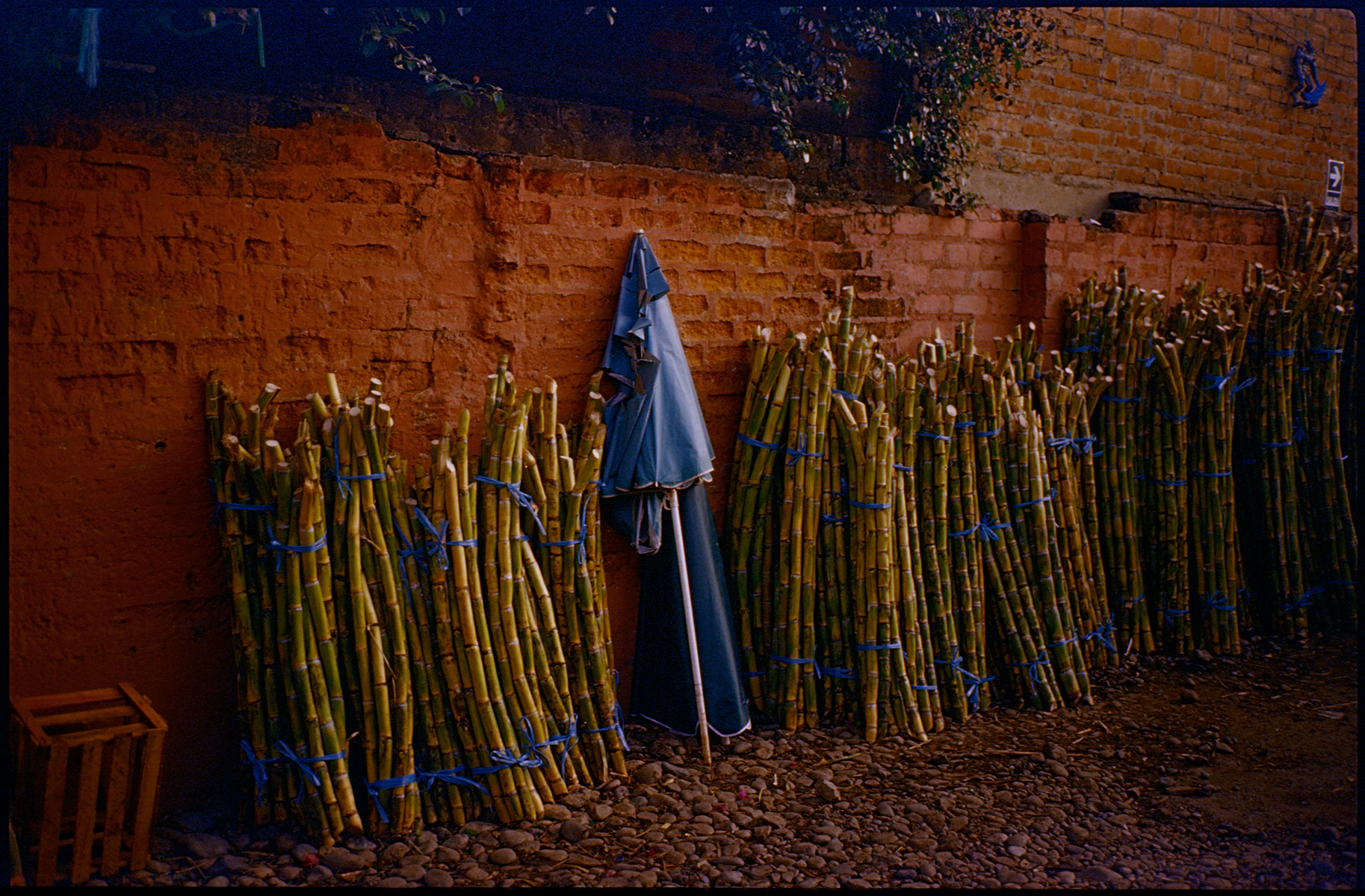 fotografia analogica
kodak elite chrome 100
35mm
film photography
contax t2
Juan Pablo Aragón
Lima Perú