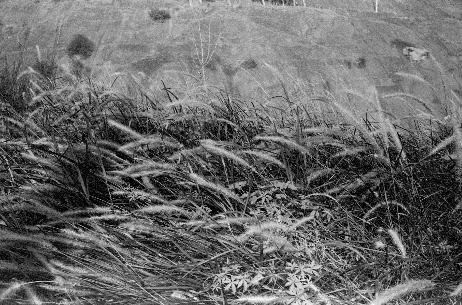 fotografia analogica
neopan 1600
35mm
film photography
nikon fm10
Juan Pablo Aragón
Lima Perú