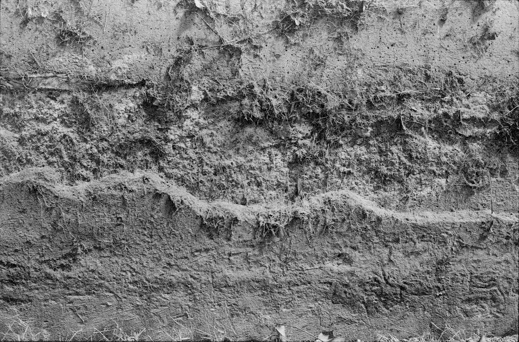 fotografia analogica
neopan 1600
35mm
film photography
nikon fm10
Juan Pablo Aragón
Lima Perú