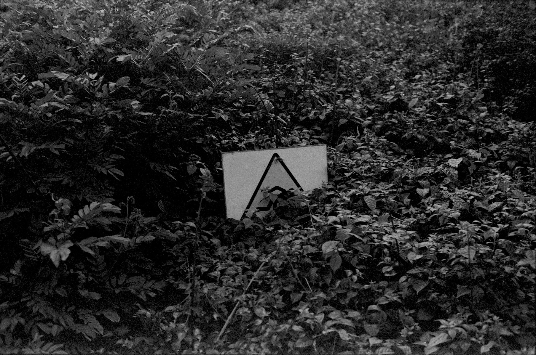 fotografia analogica
neopan 1600
35mm
film photography
nikon fm10
Juan Pablo Aragón
Lima Perú