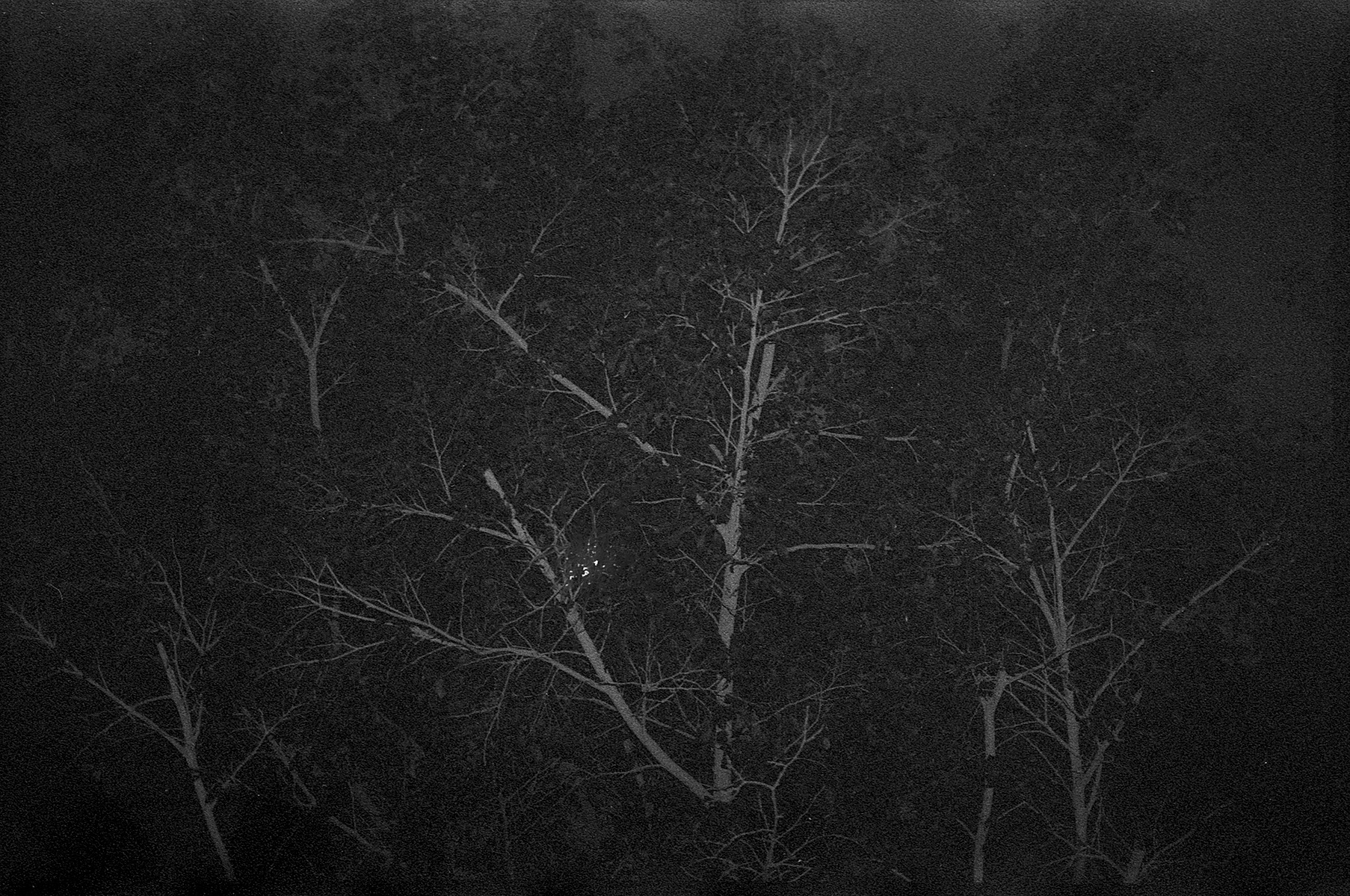fotografia analogica
35mm
canon eos elan IIe
ilford delta 400
expired film
film photography
Juan Pablo Aragón
Lima Perú