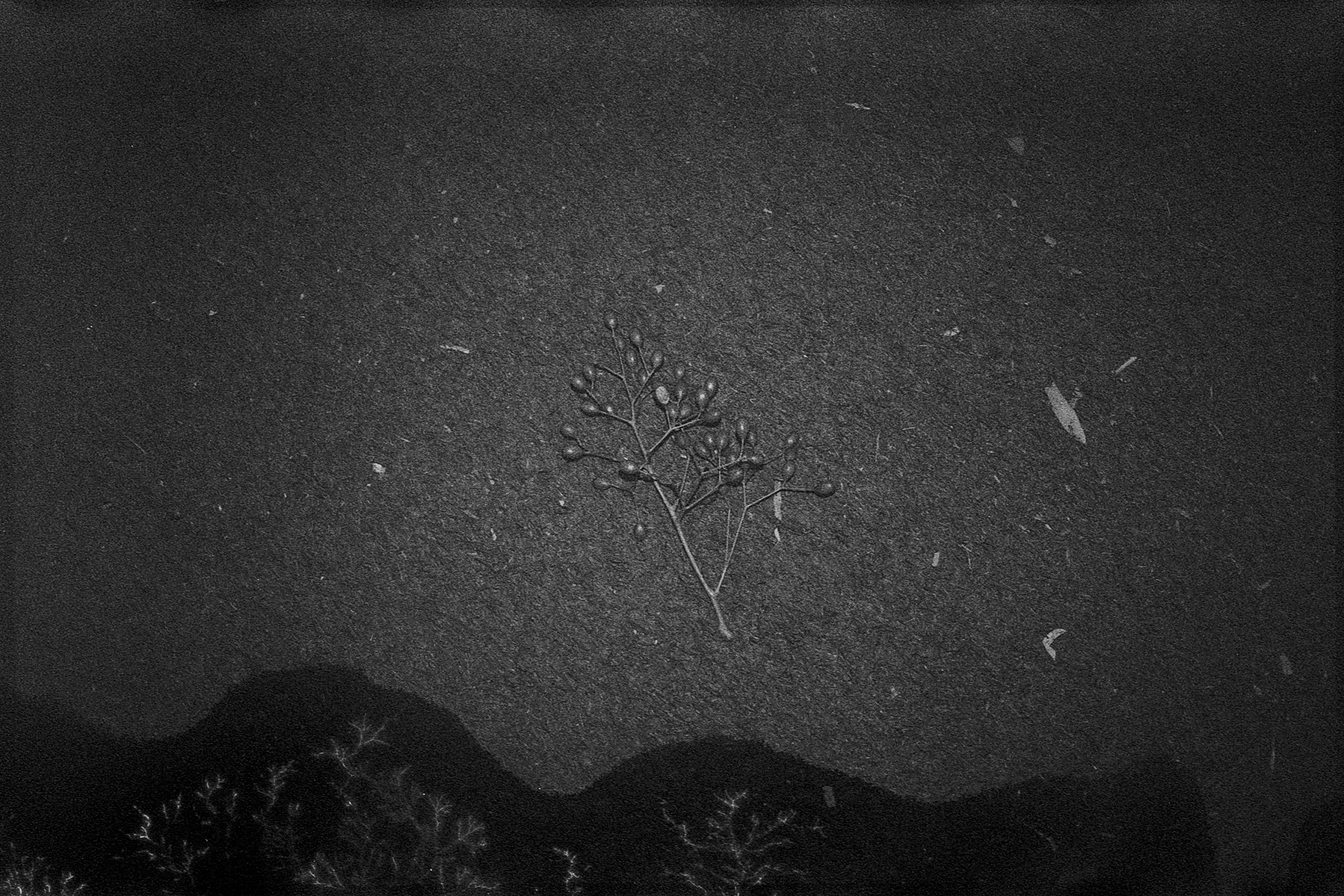 fotografia analogica
35mm
canon eos elan IIe
ilford delta 400
expired film
film photography
Juan Pablo Aragón
Lima Perú