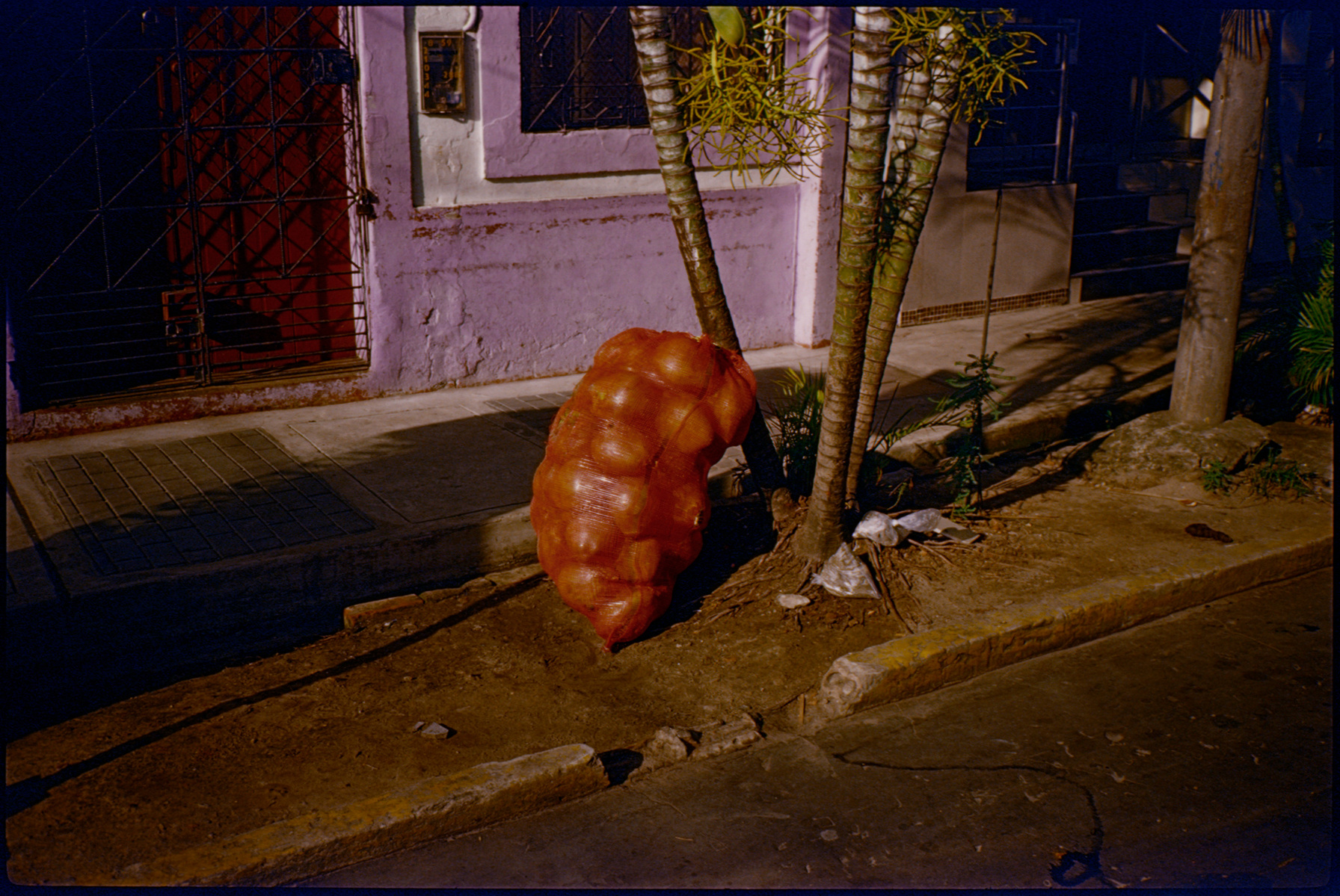 fotografia analogica
kodak elite chrome 100
35mm
film photography
contax t2
Juan Pablo Aragón
Lima Perú