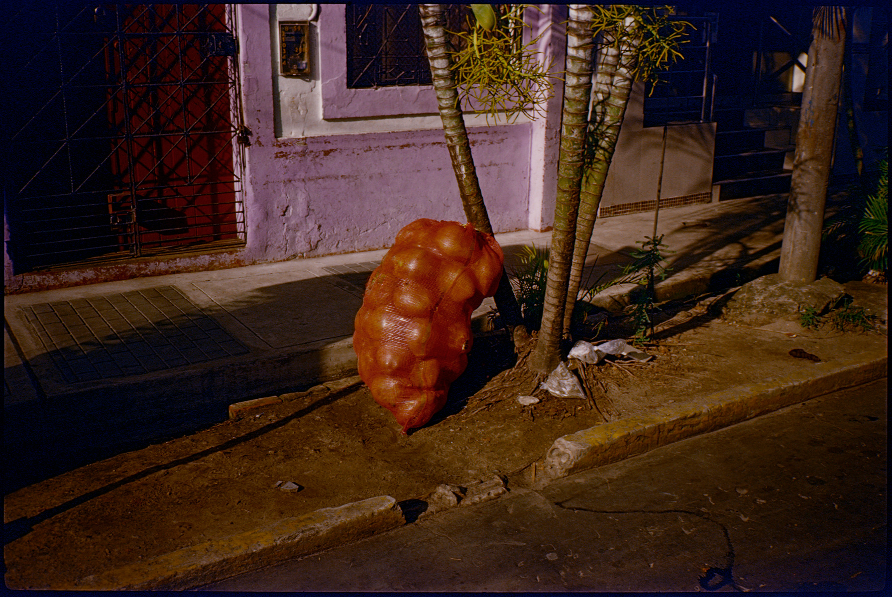 fotografia analogica
kodak elite chrome 100
35mm
film photography
contax t2
Juan Pablo Aragón
Lima Perú