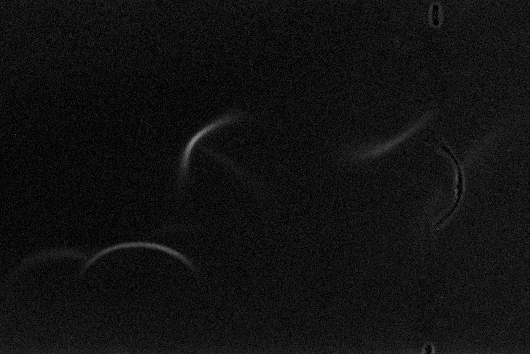fotografia analogica
neopan 1600
35mm
film photography
nikon fm10
Juan Pablo Aragón
Lima Perú