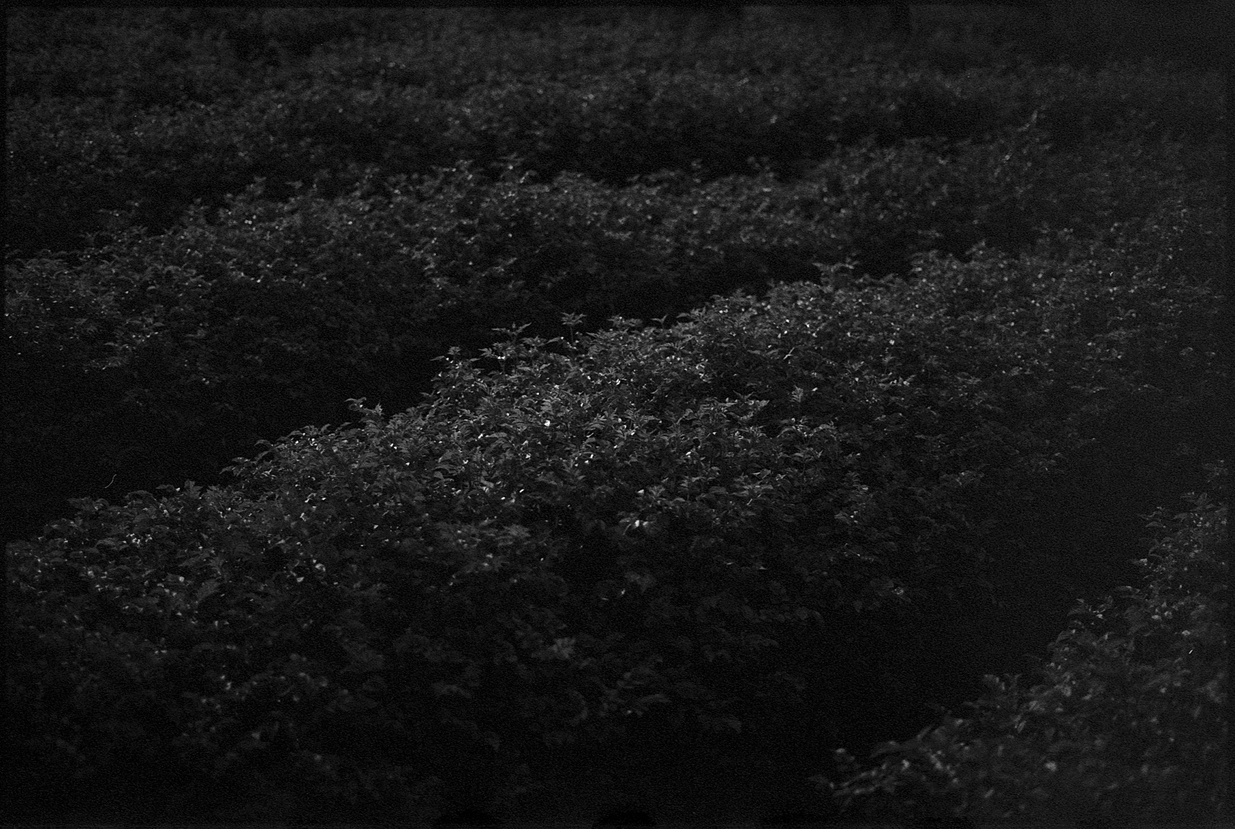 fotografia analogica
35mm
canon eos elan IIe
ilford delta 400
expired film
film photography
Juan Pablo Aragón
Lima Perú