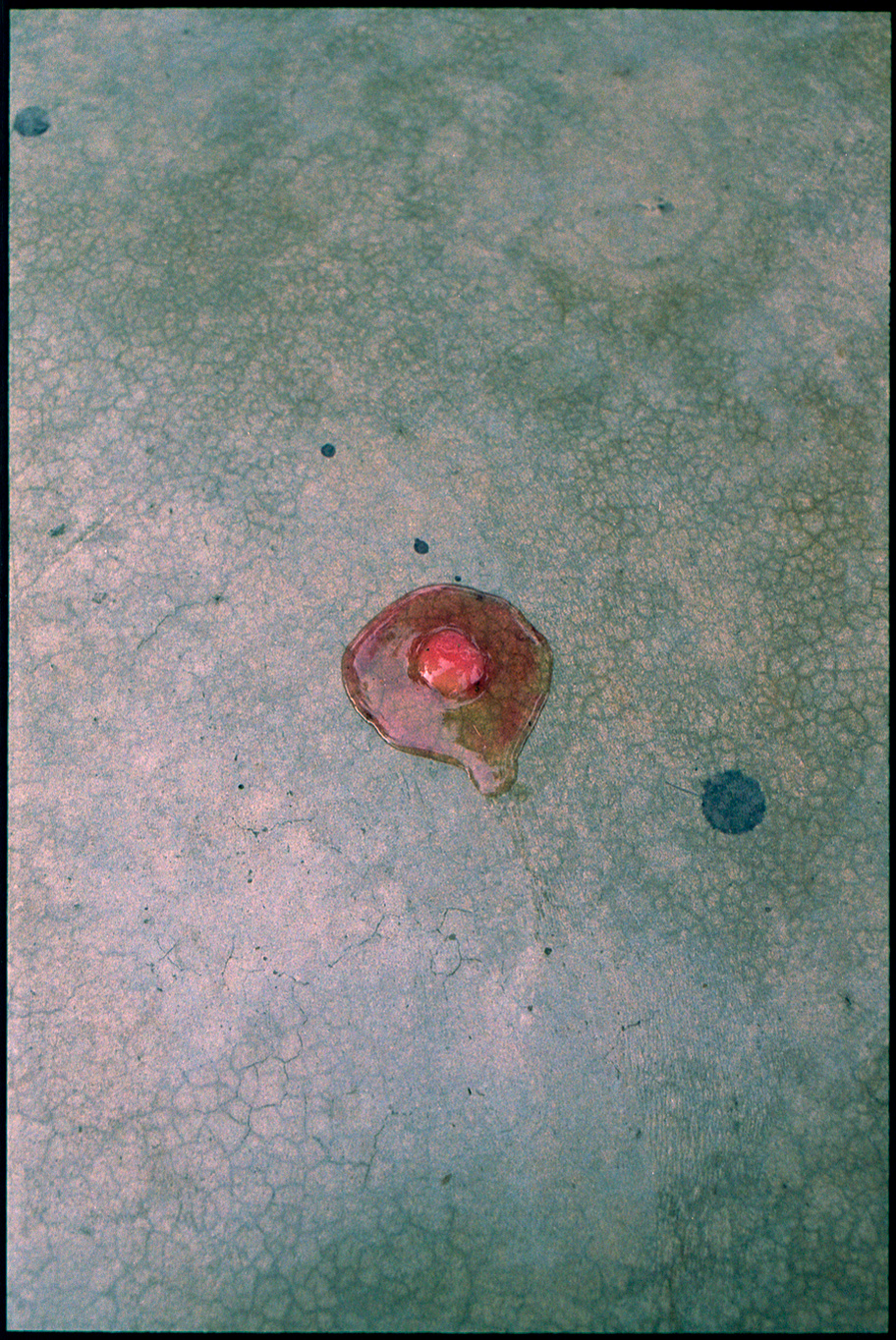 fotografia analogica
35mm
canon eos elaniie
film photography
Juan Pablo Aragón
Lima Perú