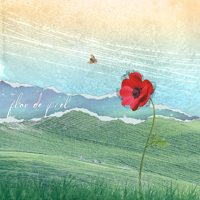 Album design for release of Spanish single "Flor de piel"