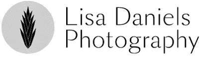 Lisa Daniels Photography 