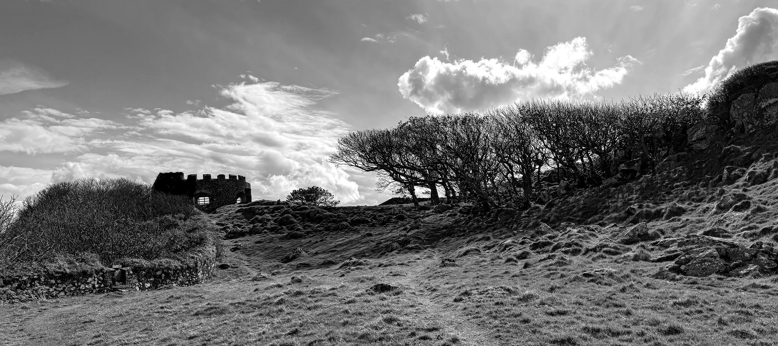 icehouse downhill panorama