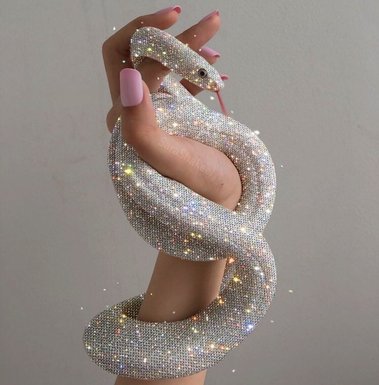 Sara Shakeel