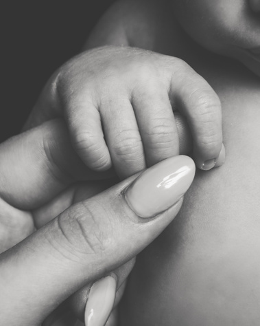 Newborn Photography