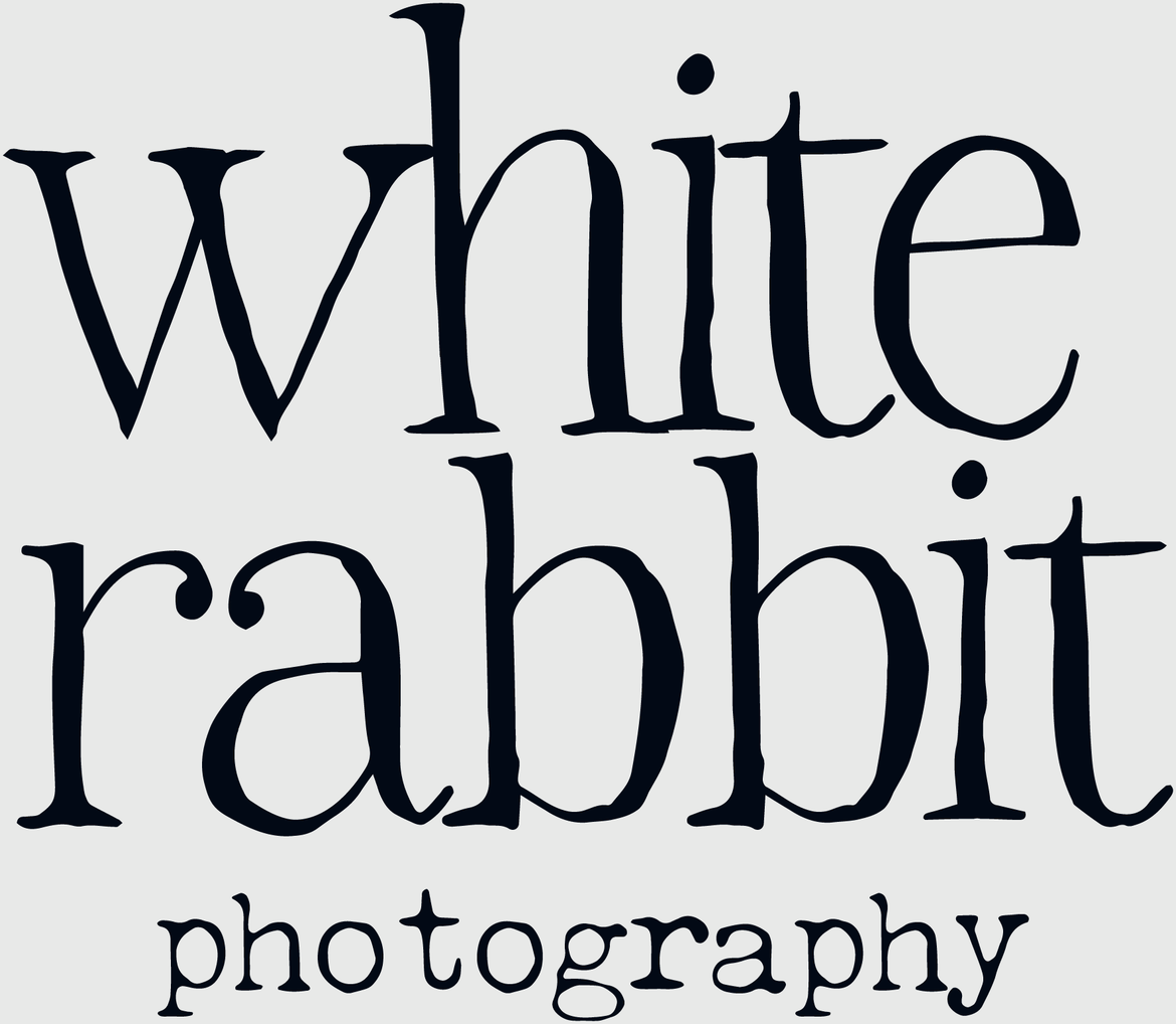 White Rabbit Photography Limited