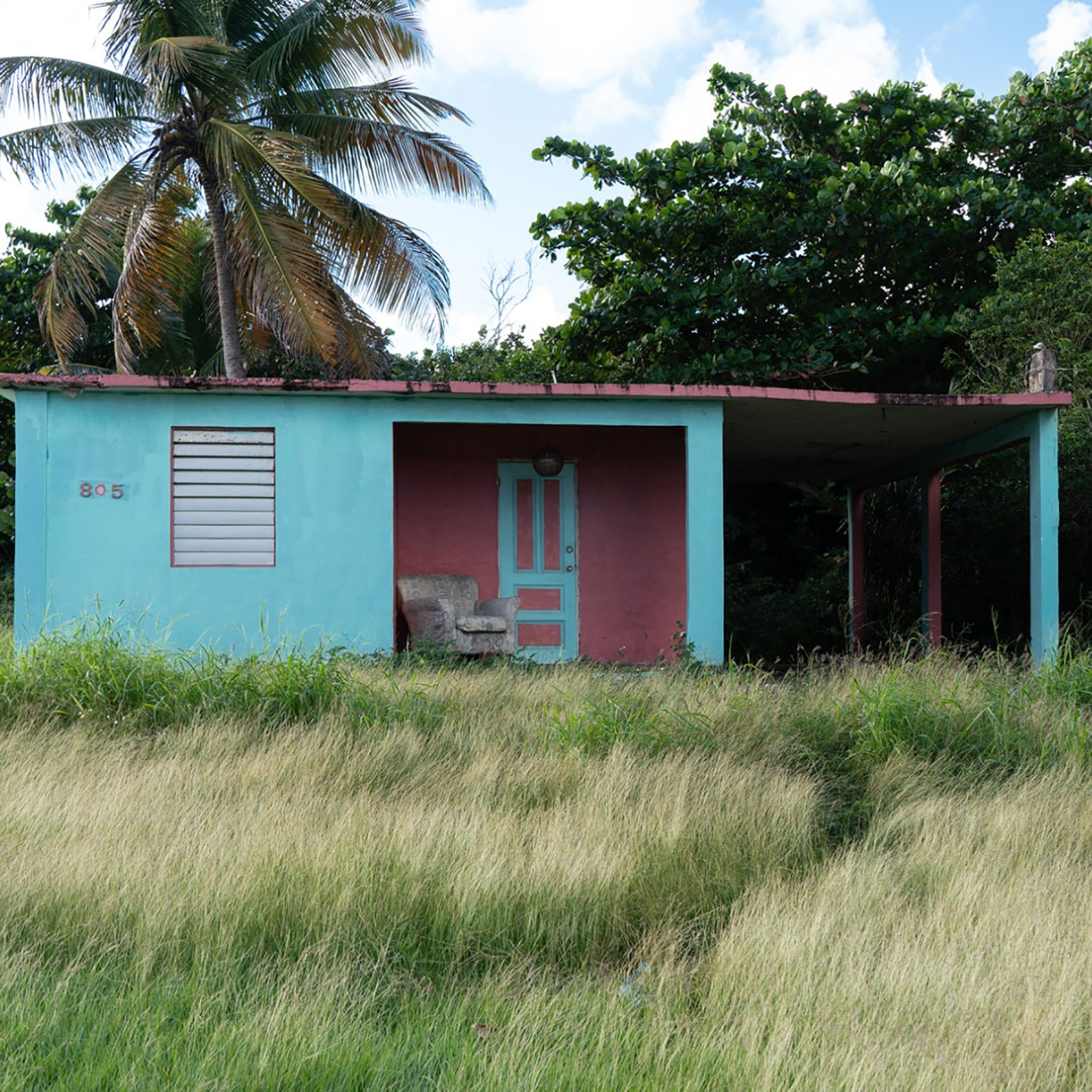 Caribbean Homes with pam trees and blue sky