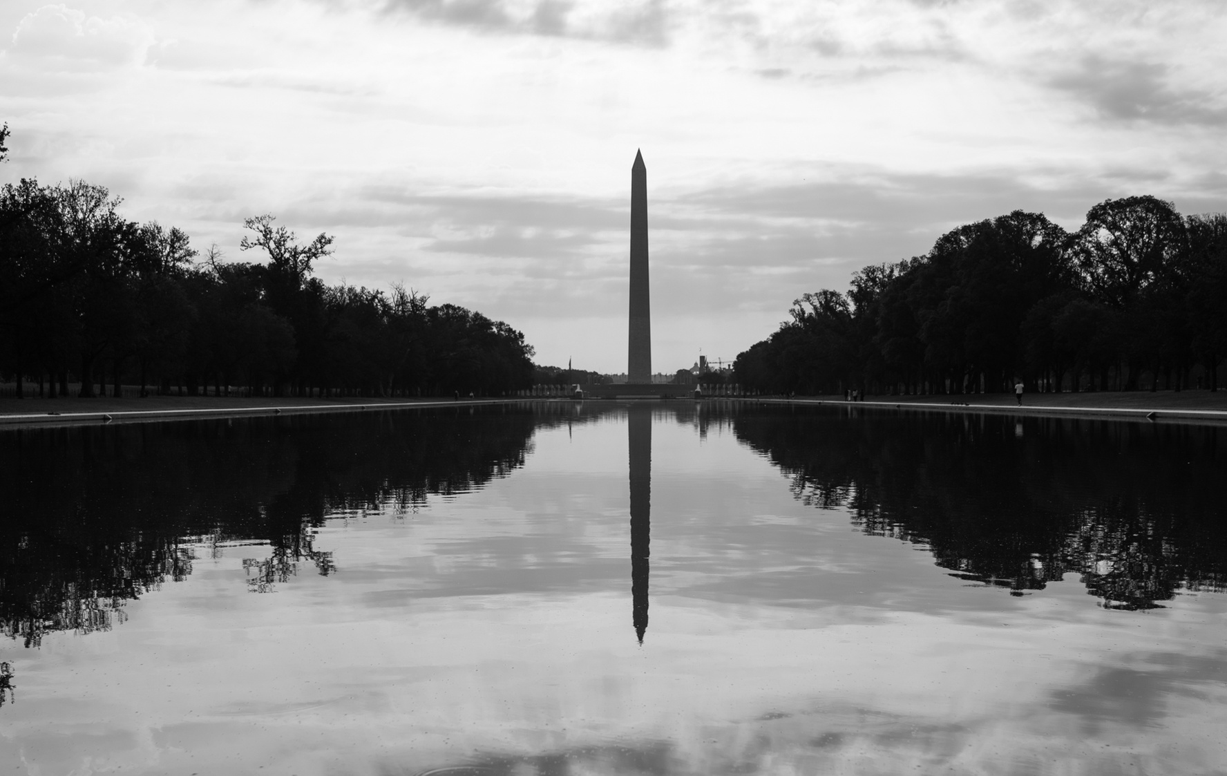 The Lawn in Black and White