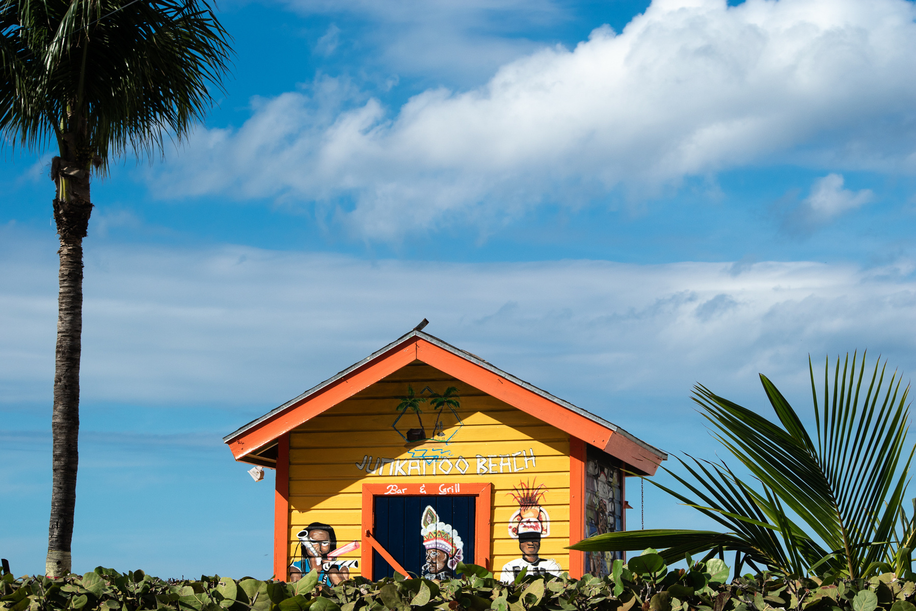 Caribbean Homes with pam trees and blue sky