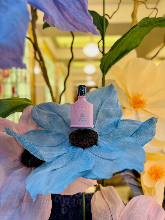 Creed spring on sale