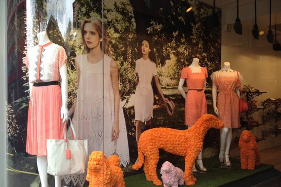 Hobbs Paper flower Spring Collection in-store pom pom poodles