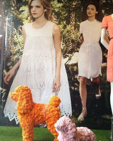 Hobbs Paper flower Spring Collection in-store pom pom poodles