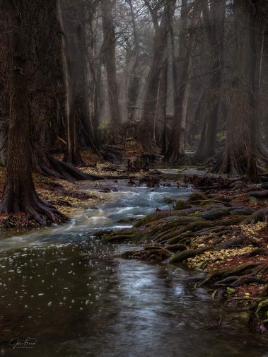 Rain and Fog on Cibolo Creek, Cibolo Nature Center, Boerne, TX