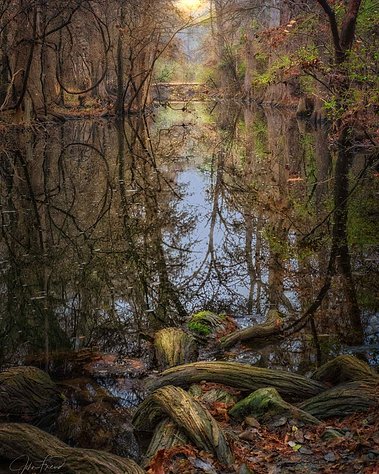 Morning Sunrise on Cibolo Creek in Cibolo Nature Center, Boerne, TX