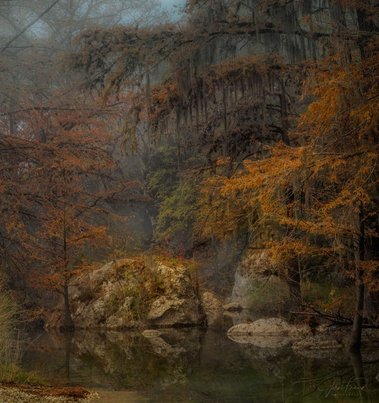 Foggy Morning, Easter Creek, Boerne, TX