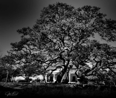 Herff Home, Boerne, TX