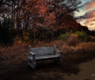 Bench Sunset, Cibolo Nature Center, Boerne, TX